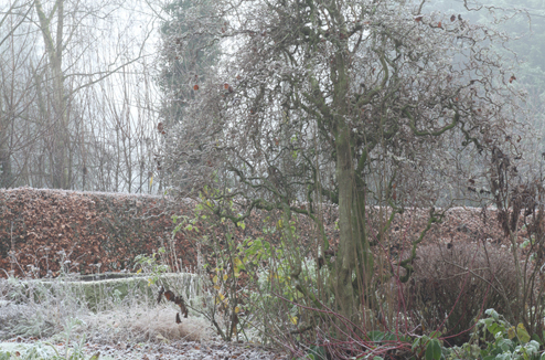 Bien préparer son jardin à passer l'hiver