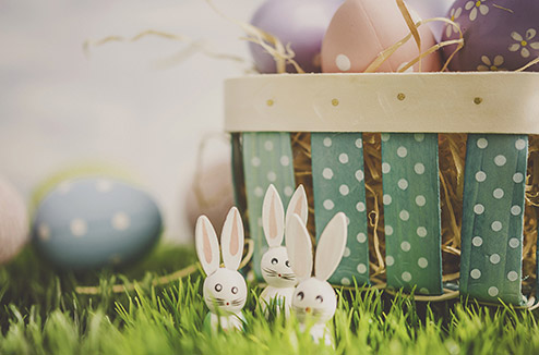 Pâques : les oeufs en folie !